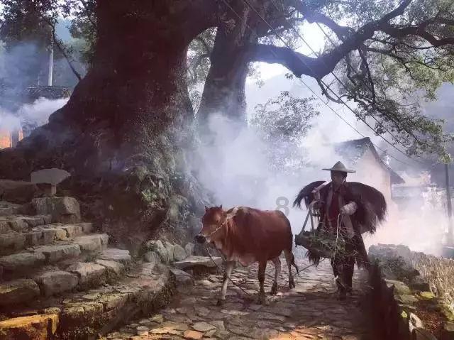 逃离小人国森林